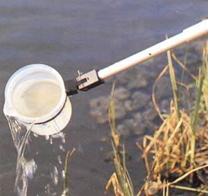 Wassersch�pfbecher