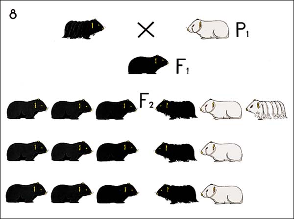 download excel dashboards and reports