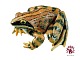 Moorfrosch - Tierplastik