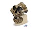 Sch�delreplikat Australopithecus boisei