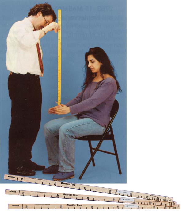 Reaktionszeit-Me�st�be - gro�