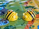 Bee-Bot Klassen-Set