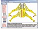 Nervensystem und Informations�bertragung