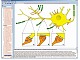 Nervensystem und Informations�bertragung